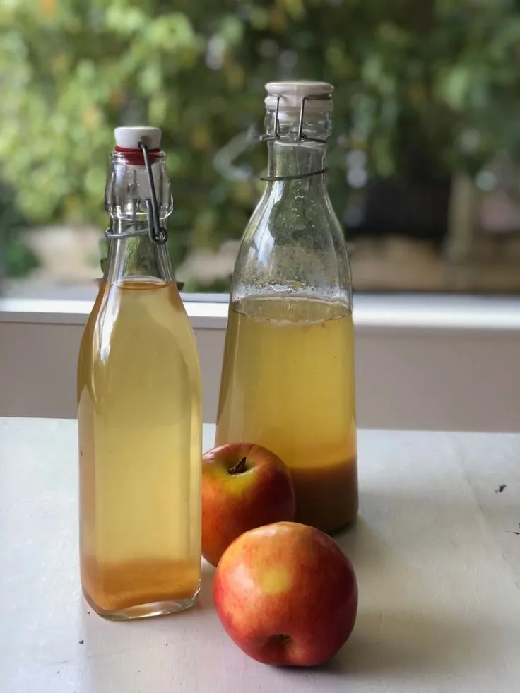 Vinagre vivo agroecologico BELLOTA 300ml