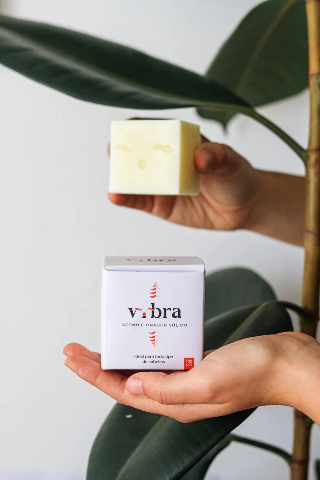 ACONDICIONADOR VAINILLA CACAO COCO 100G VYBRA