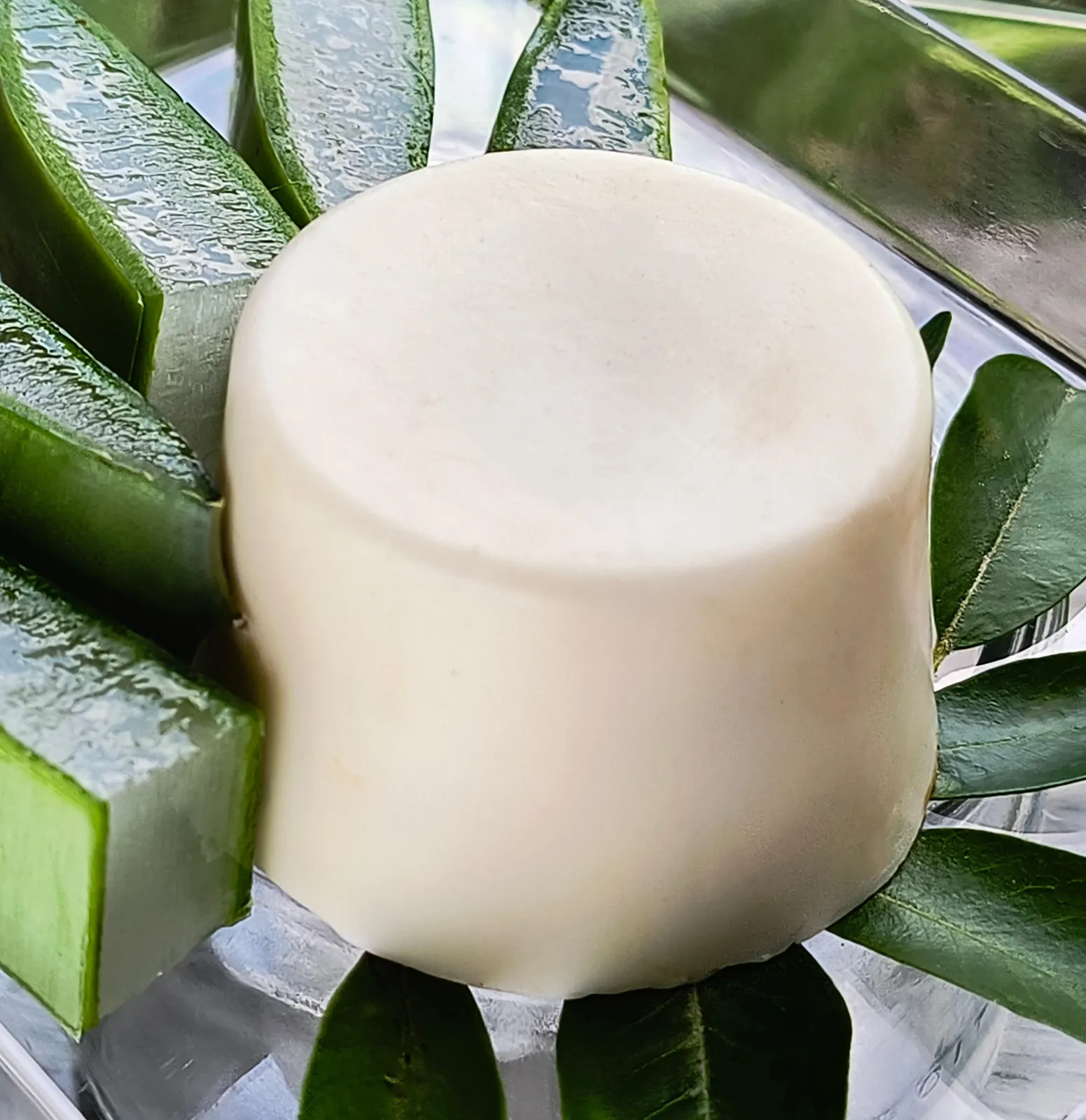 JABON DE ALOE VERA Y ARGAN AMORATICAS 63G