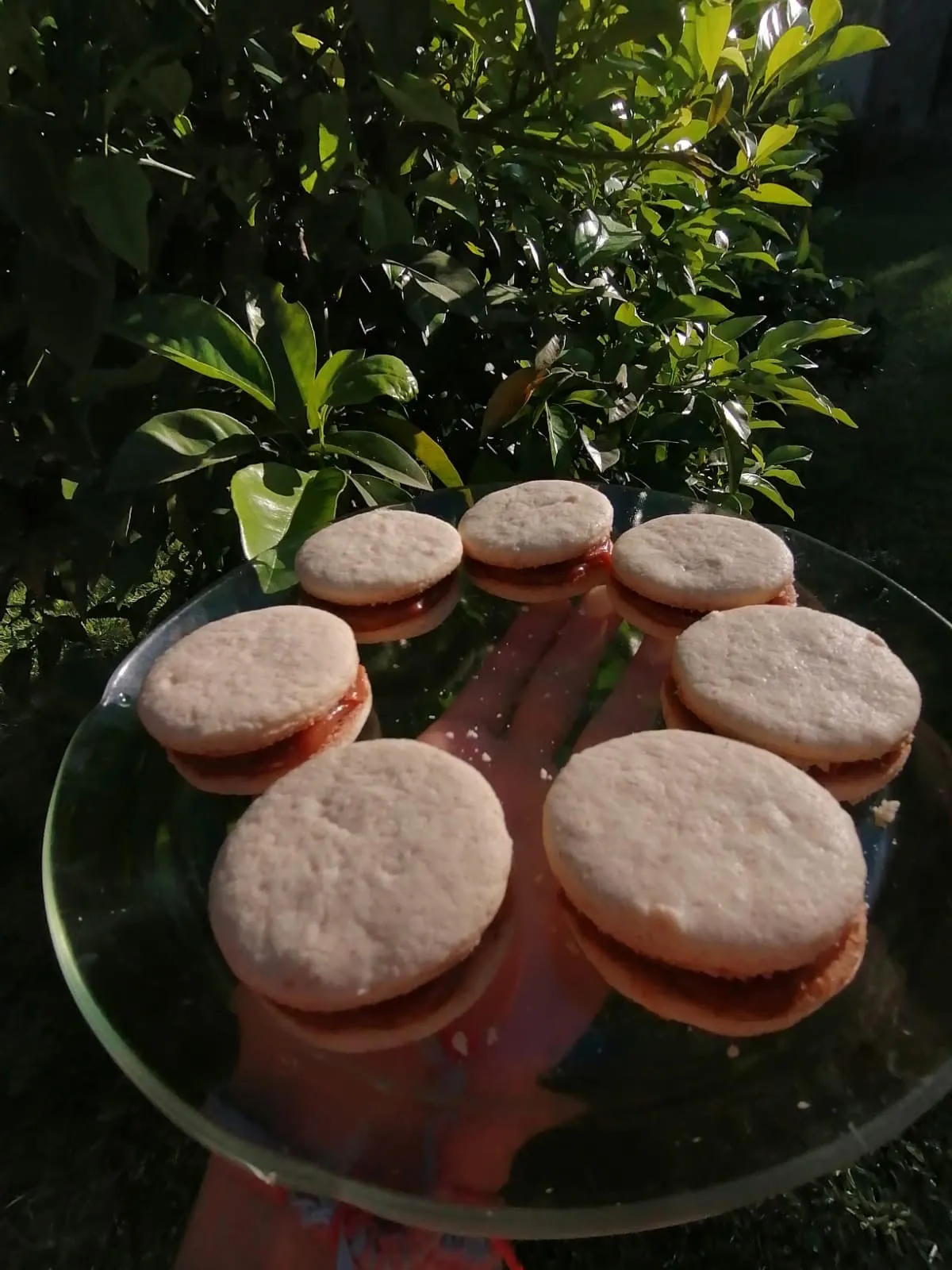 ALFAJOR DE ALMENDRAS AGROECOLOGICAS