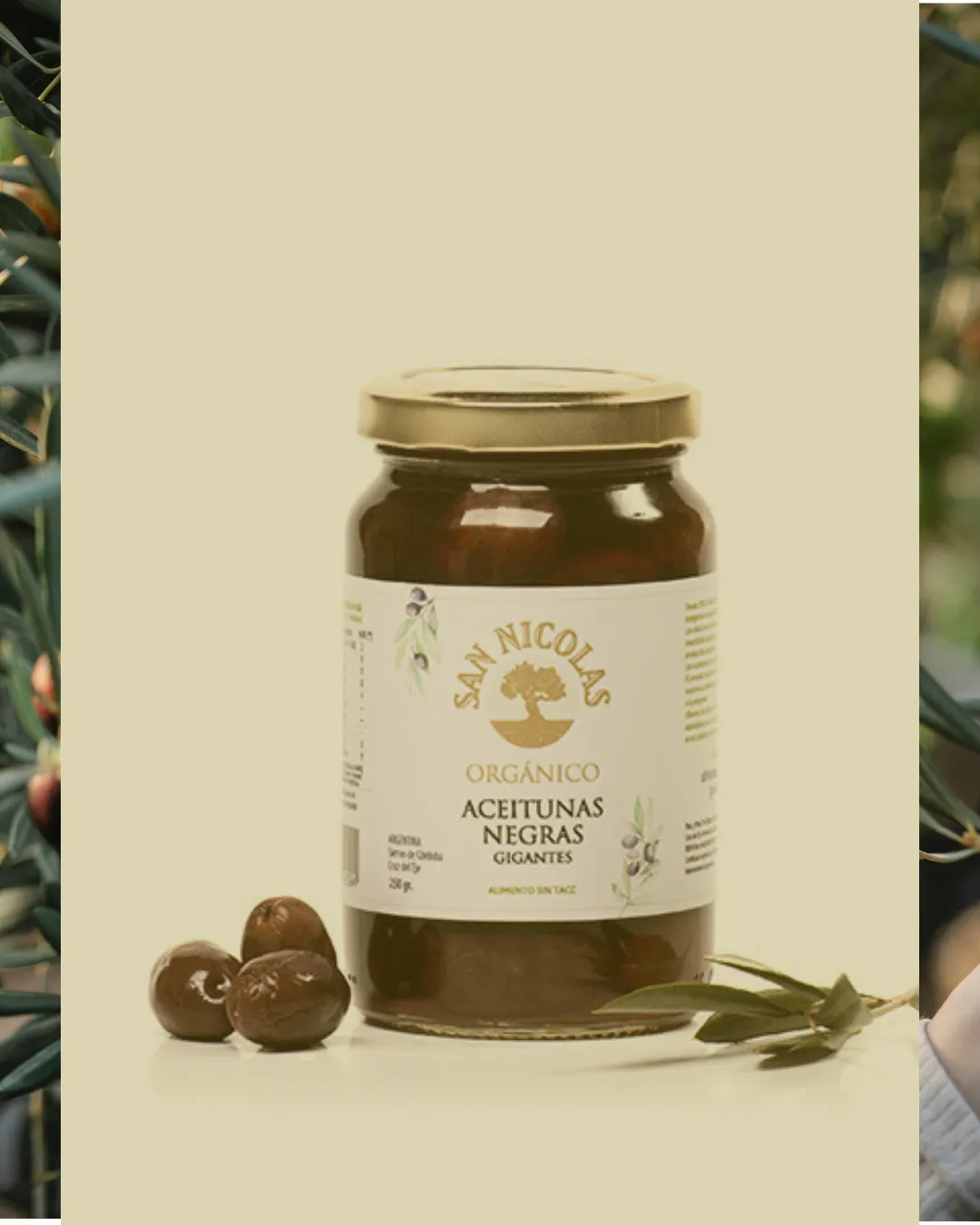 ACEITUNAS ORG. NEGRAS GIGANTES 250G.