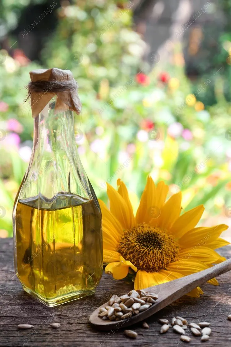 Aceite de Girasol alto oleico Aguara Organico 500ml